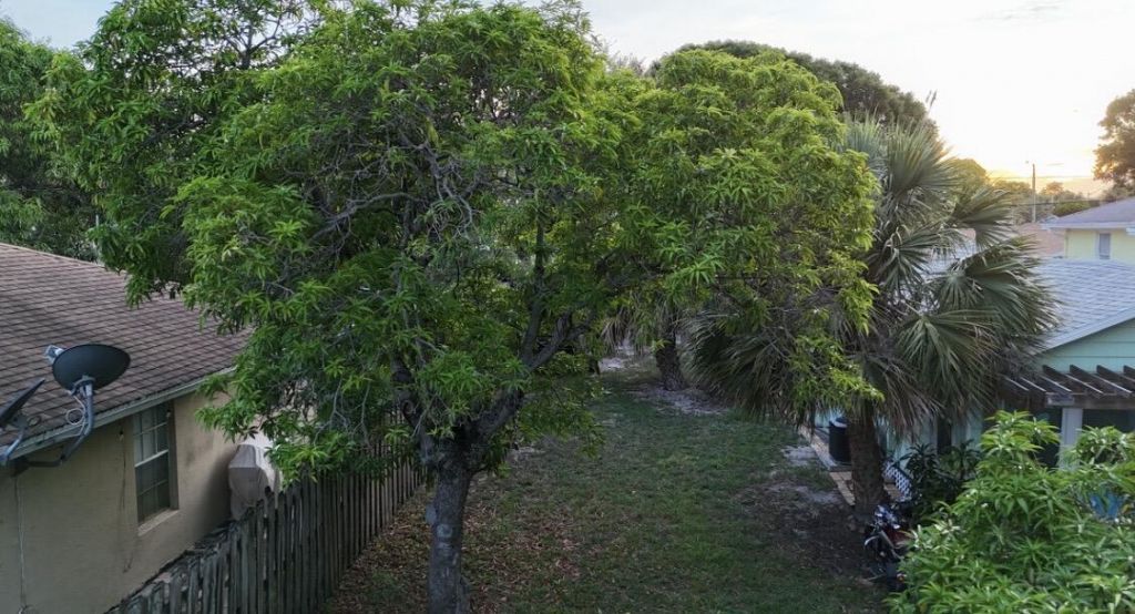 211 N E Street, Lake Worth Beach, FL 33460 Photo