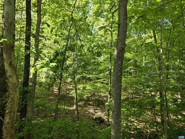 717 JEFFERSON DR , Unit SECTION 2 , PALMYRA, VA 22963