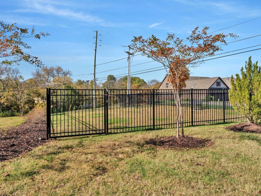 Property Image 37