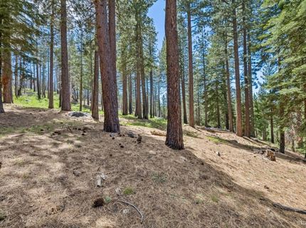 1729 Inca Way, South Lake Tahoe, CA 96150 Photo
