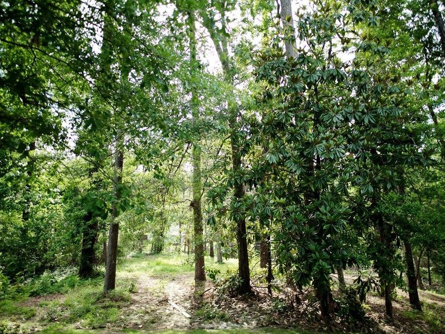 Property Image 55