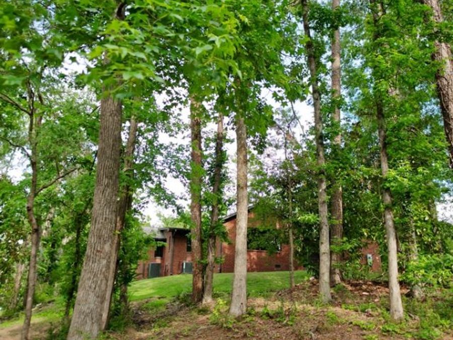 Property Image 56