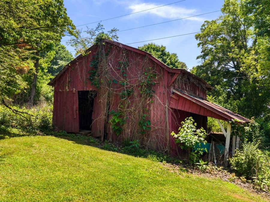 Property Image 41
