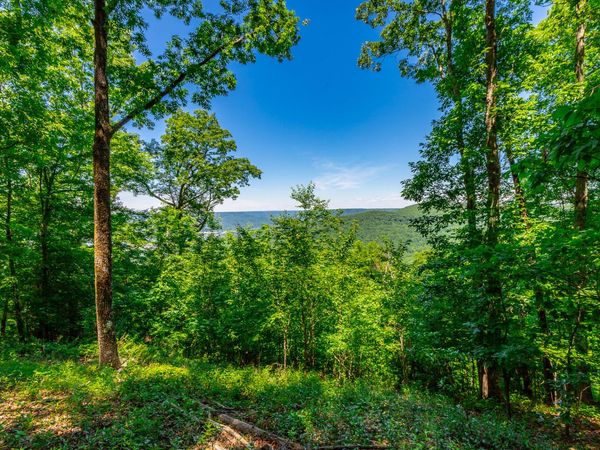 0 Volunteer Street, Jasper, TN 37347
