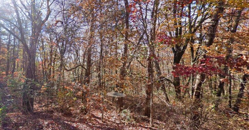 1508 Rocky Ridge Lane, Signal Mountain, TN 37377 Main Photo