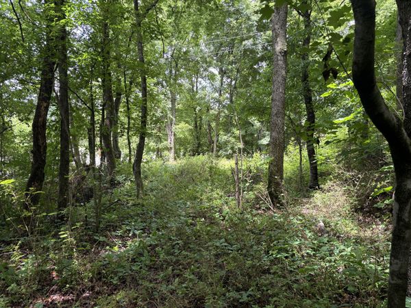 0 Bellfounte Road, Cleveland, TN 37312