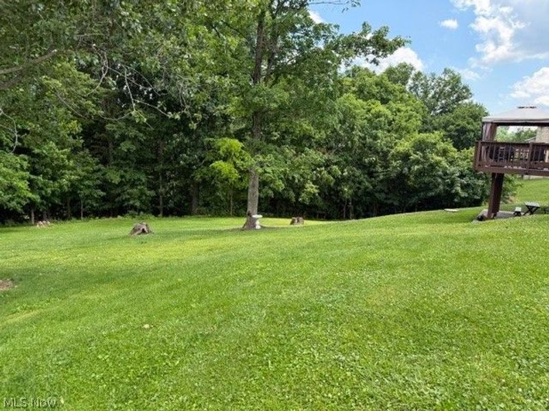66599 Anna Drive, Saint Clairsville, OH 43950 Photo 6