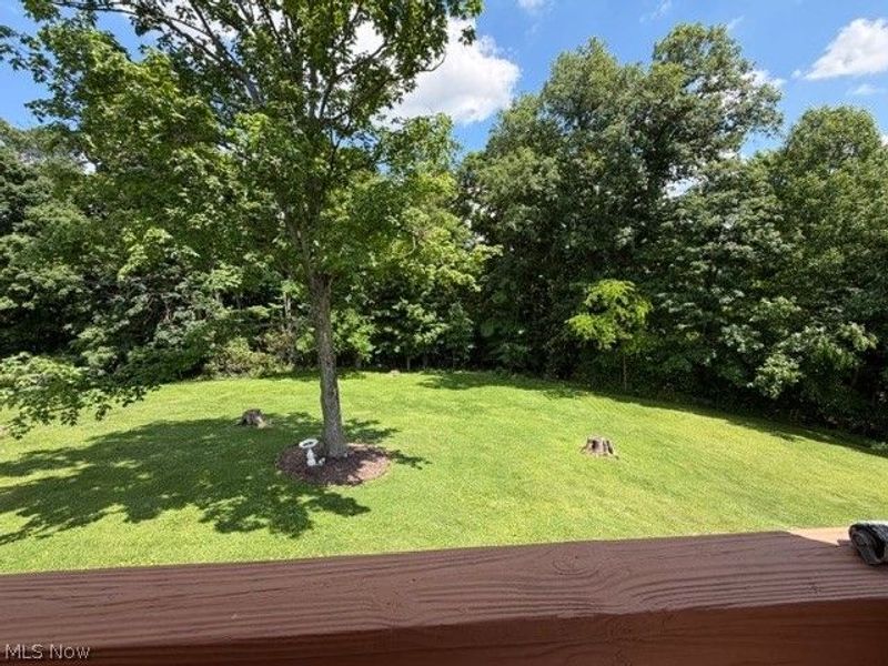 66599 Anna Drive, Saint Clairsville, OH 43950 Photo 8