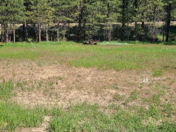 TBD Scenic View Dr., Lowman, ID 83637