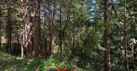 3800 Glory Hole Ct, Camino, CA 95709 Photo