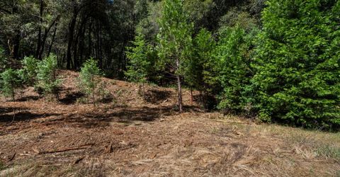 3800 Glory Hole Ct, Camino, CA 95709 Photo