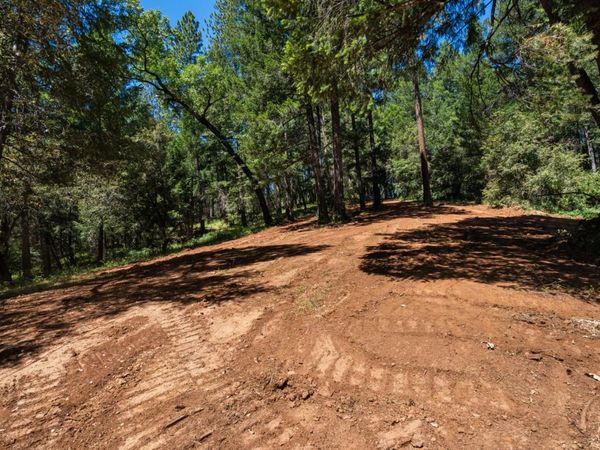 3801 Glory Hole Ct, Camino, CA 95709