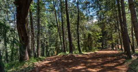 3801 Glory Hole Ct, Camino, CA 95709 Photo