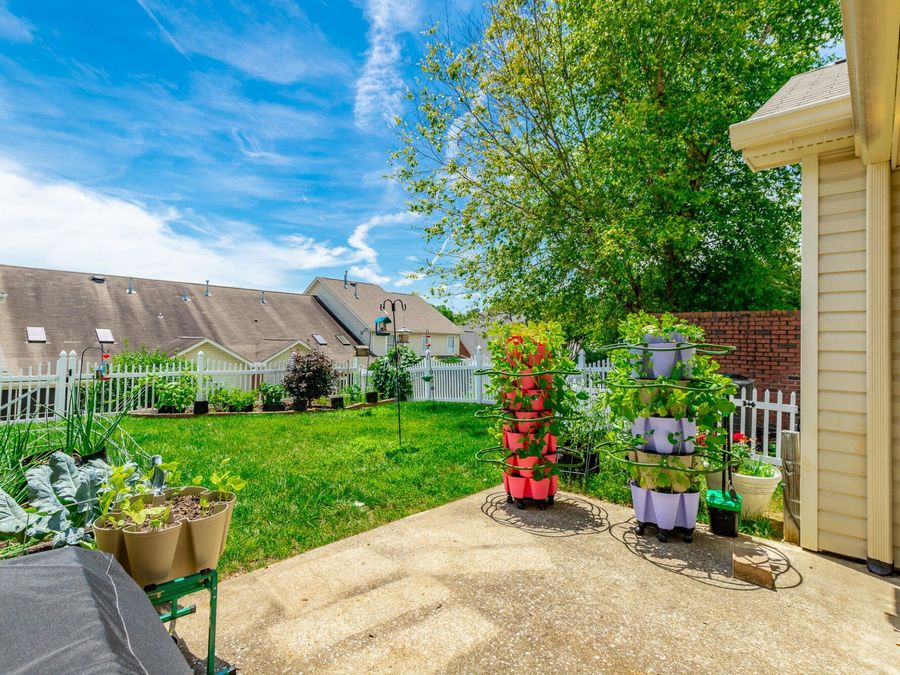Property Image 51