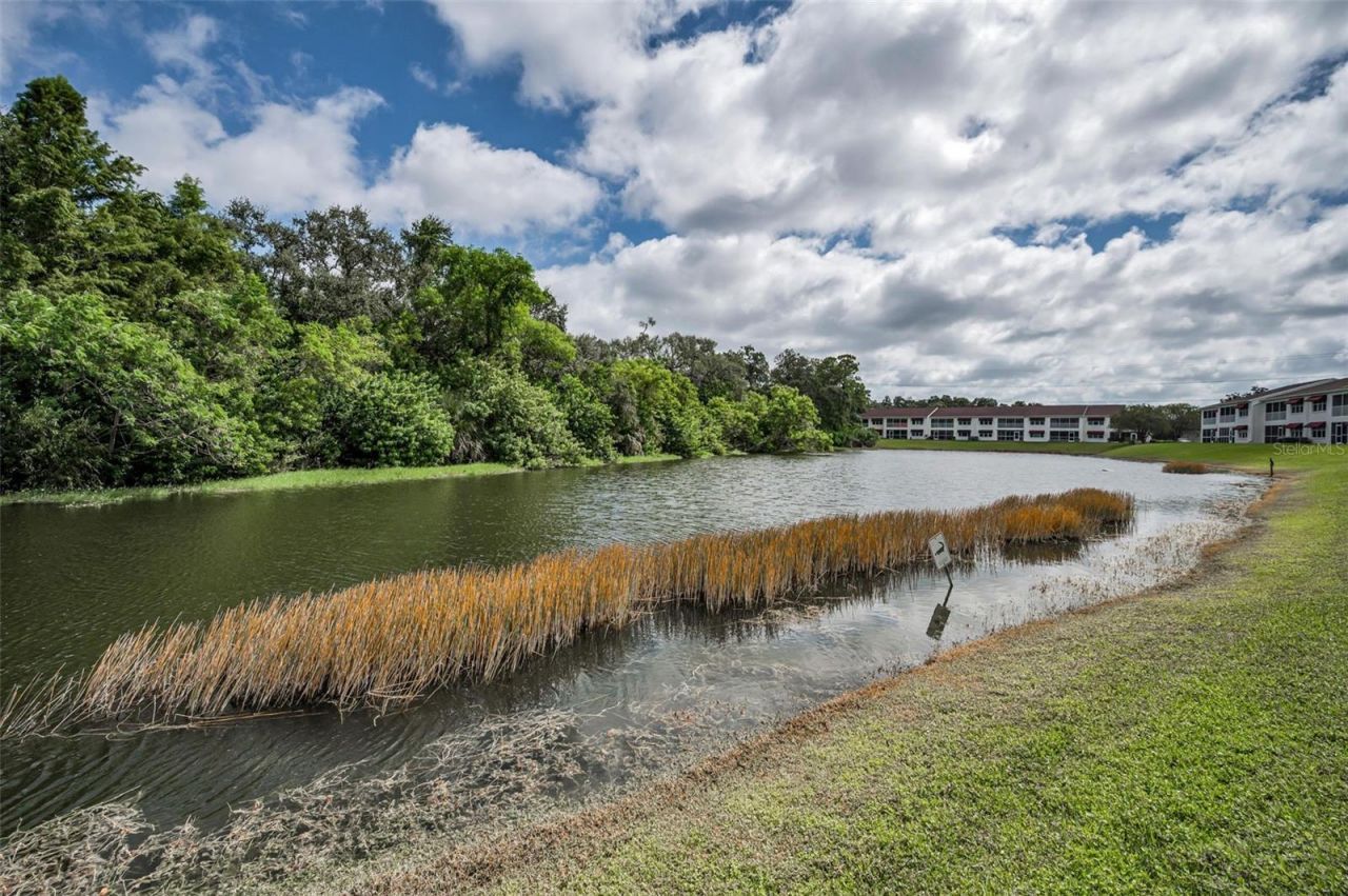 1400 Water View Drive W, Unit 104, Largo, FL 33771 Photo