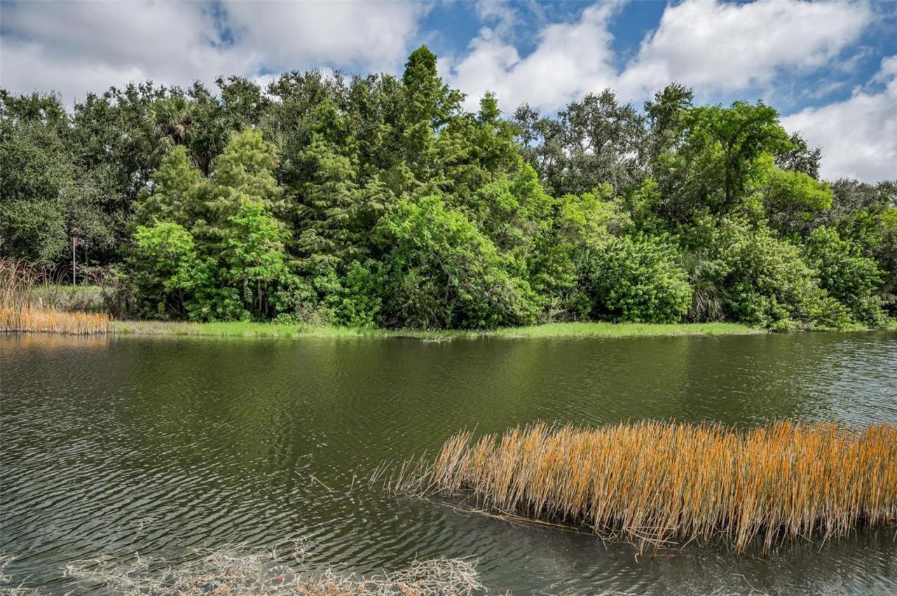 1400 Water View Drive W, Unit 104, Largo, FL 33771 Photo