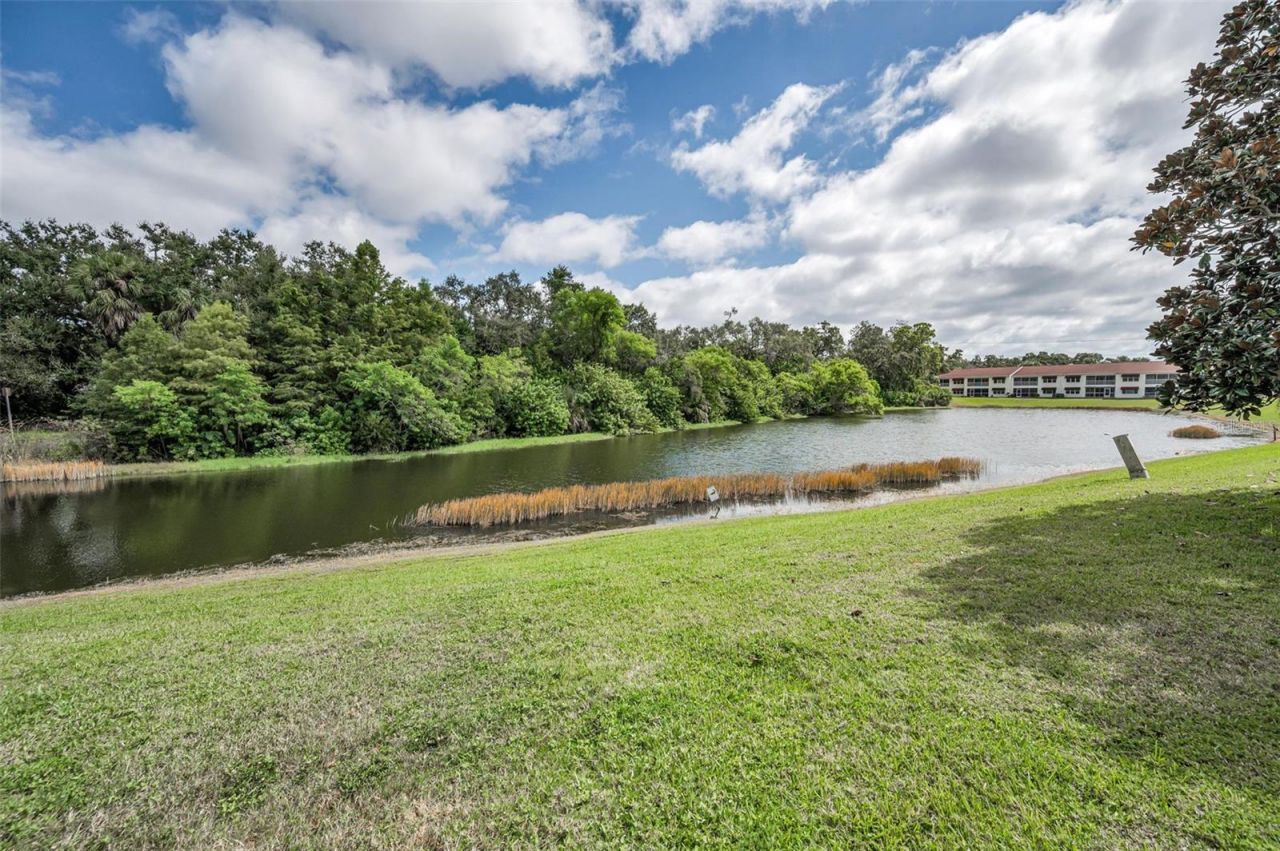 1400 Water View Drive W, Unit 104, Largo, FL 33771 Photo