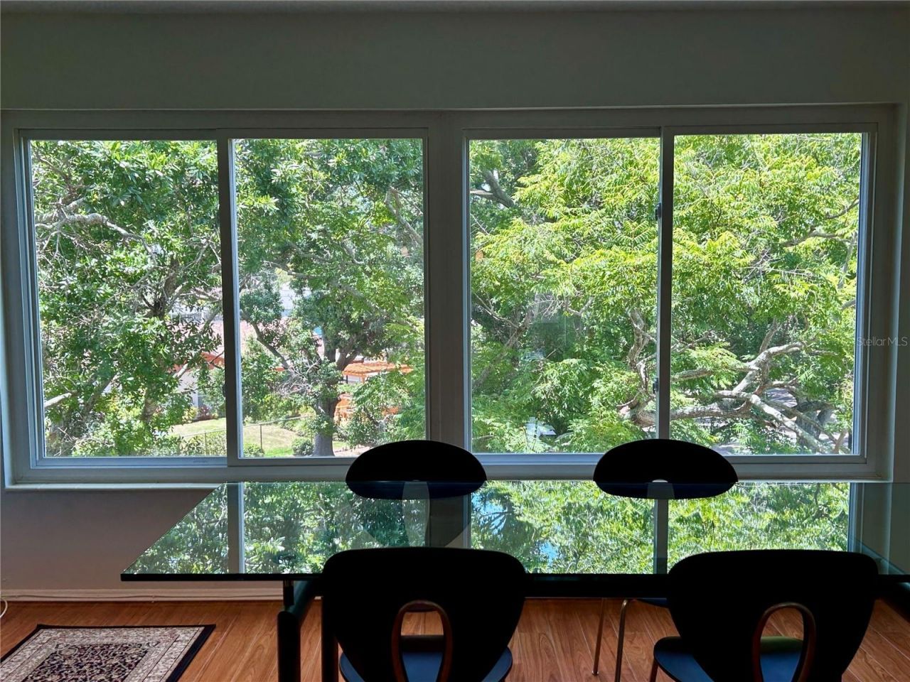 2436 Rhodesian Drive, Unit 42, Clearwater, FL 33763 Photo