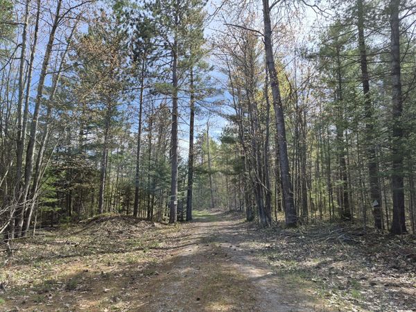 Par 13C Ocqueoc Lake Road, Millersburg, MI 49759