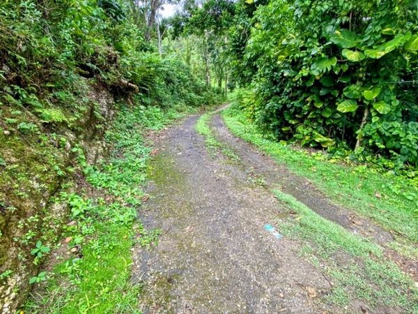 ST 627 SECTOR LAS CANTARAS, Unit KM 7.0, Arecibo, PR 00688