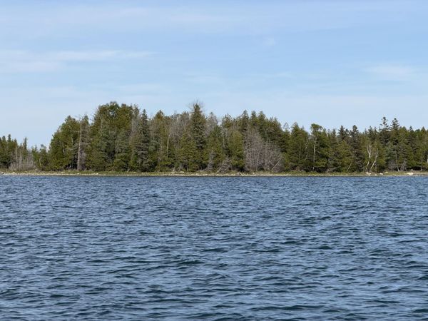 0 Whiteloon Island, Hessel, MI 49745