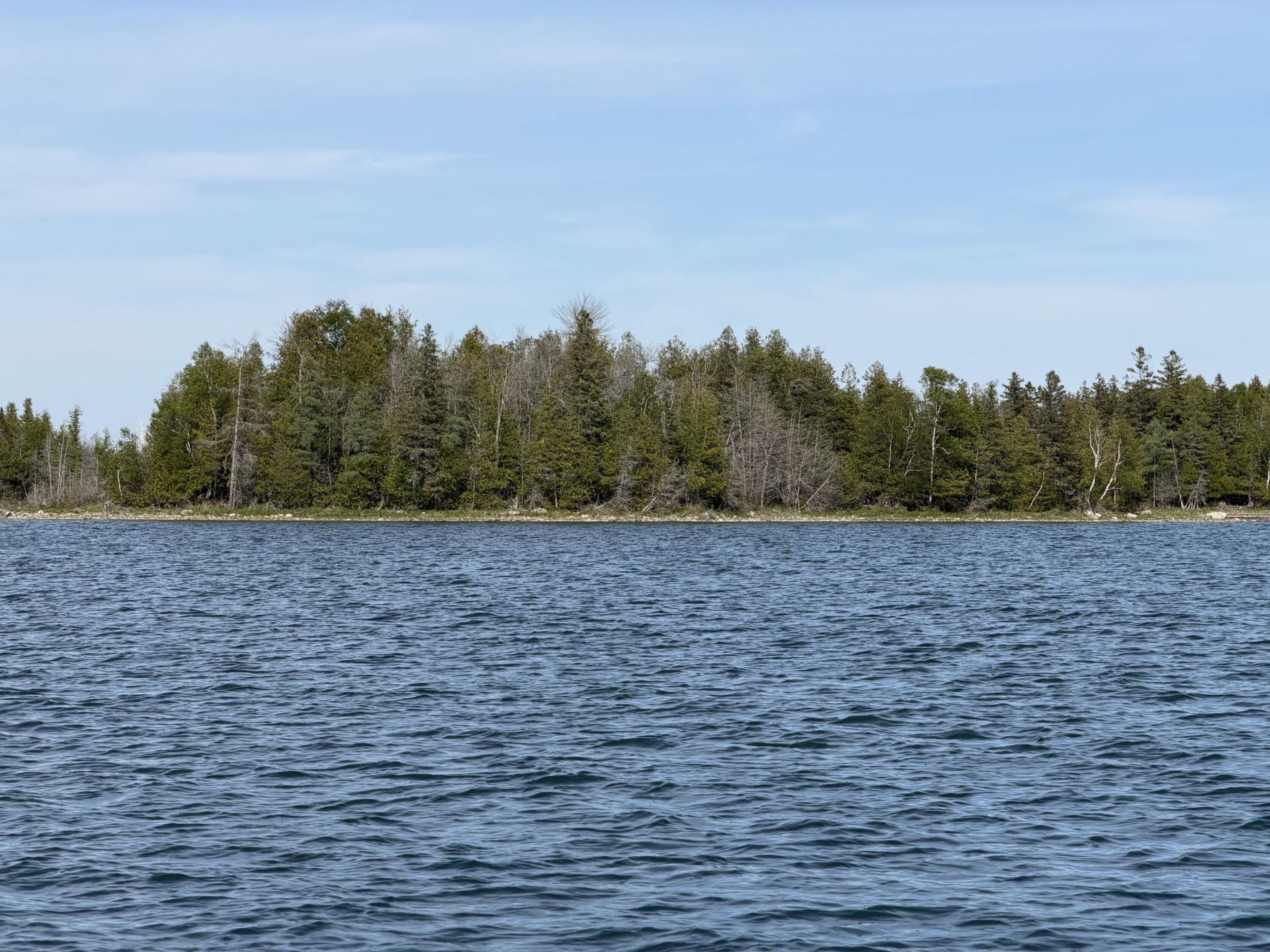 0 Whiteloon Island, Hessel, MI 49745 Main Photo