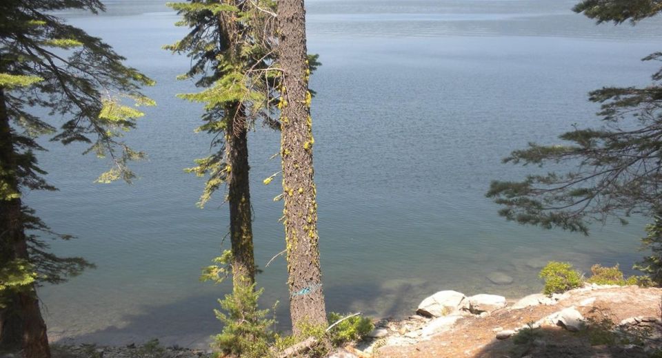 822 Mile High Rd, Bucks Lake, CA 95971 Photo