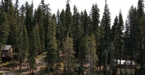 822 Mile High Rd, Bucks Lake, CA 95971 Photo