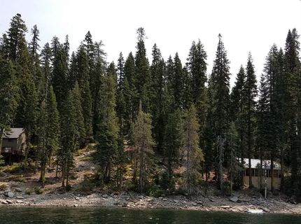 822 Mile High Rd, Bucks Lake, CA 95971 Photo