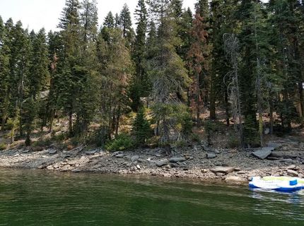 822 Mile High Rd, Bucks Lake, CA 95971 Photo