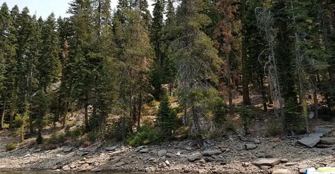822 Mile High Rd, Bucks Lake, CA 95971 Photo