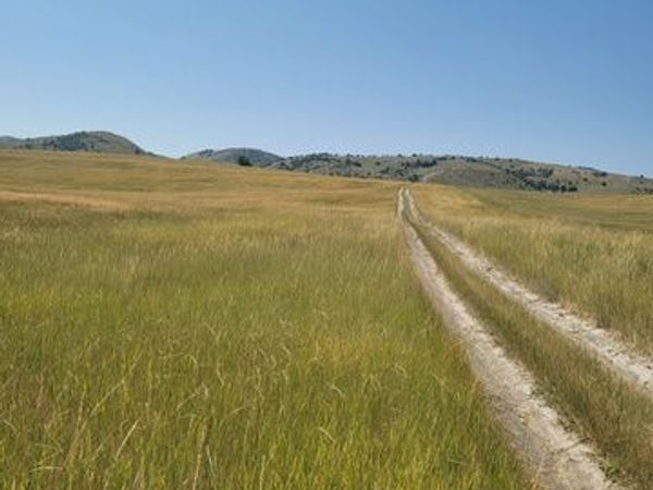8300 W 8200 N, Newton, UT 84327