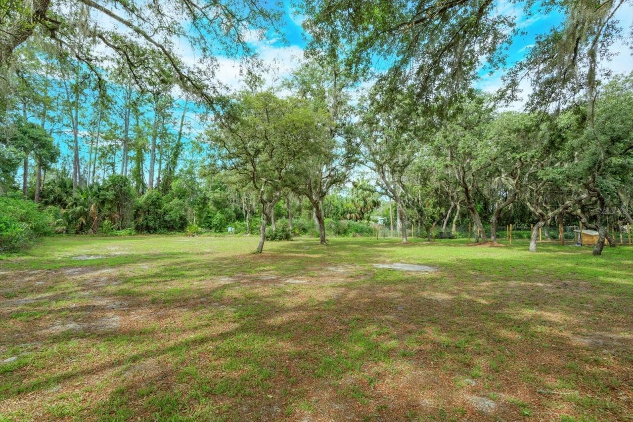 17249 Holly Court, Umatilla, FL 32784 Photo