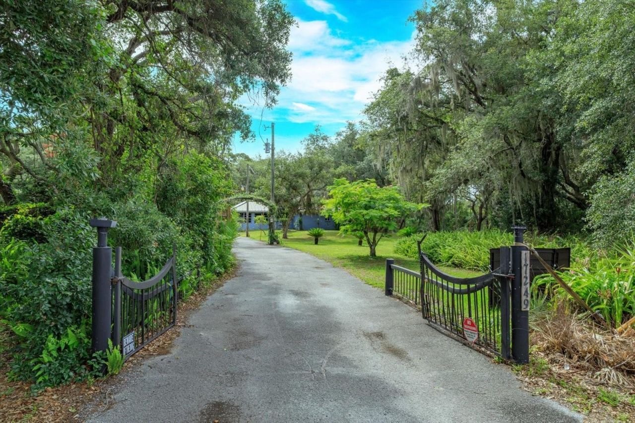 17249 Holly Court, Umatilla, FL 32784 Photo