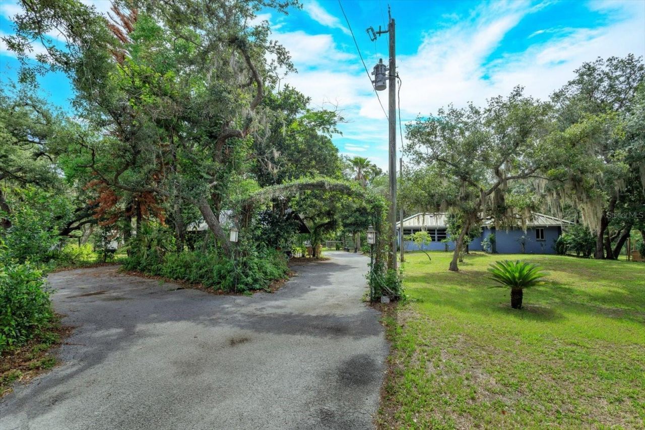 17249 Holly Court, Umatilla, FL 32784 Photo