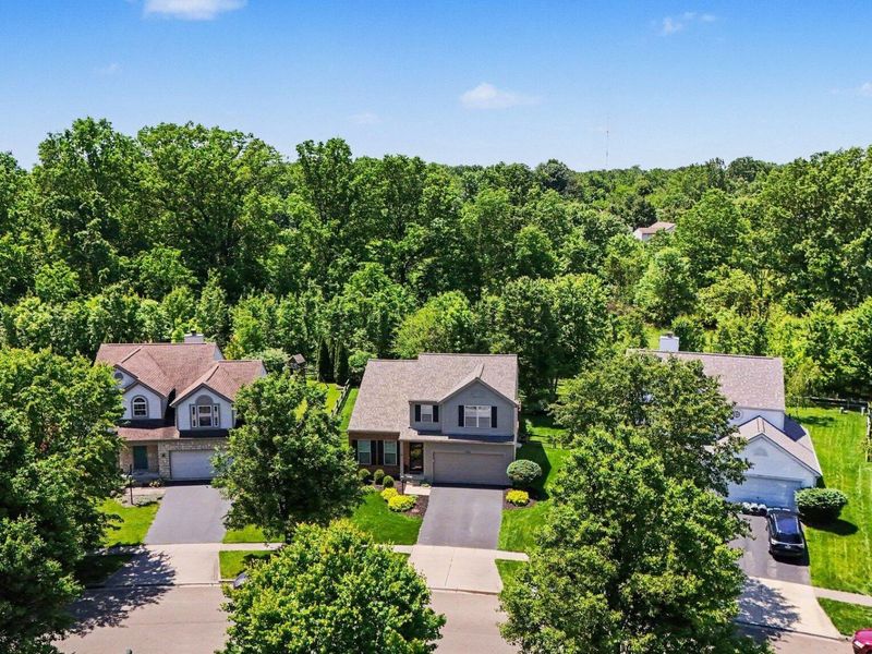 7584 Totten Springs Drive, Westerville, OH 43082 Photo 31