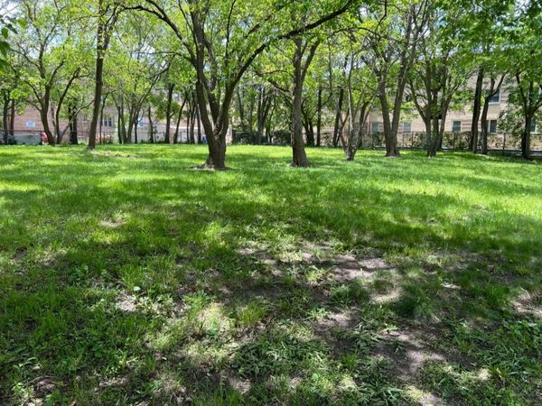 2121 E 72 Street , Chicago, IL 60649