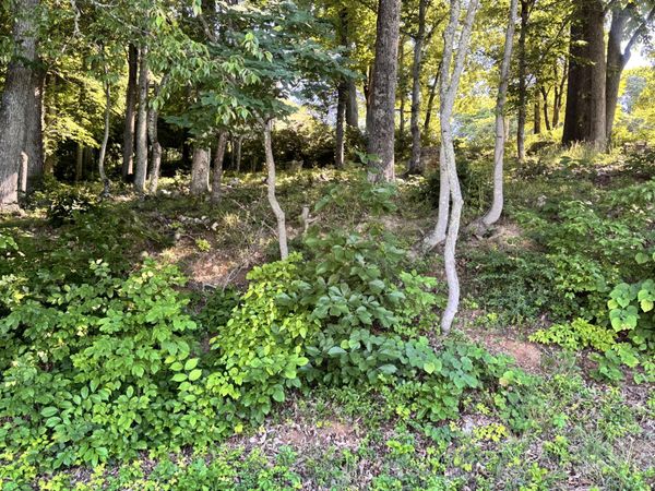 0 Leconte St., Morristown, TN 37814
