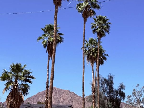 3008 N 61 Place, Unit 13, Scottsdale, AZ 85251