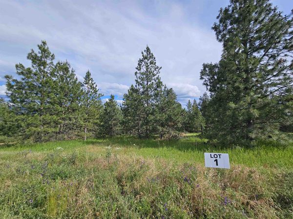 NNA S Sands Rd, Valleyford, WA 99036