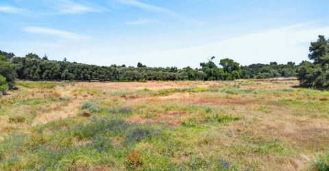 Walnut Ave, Orangevale, CA 95662 Photo