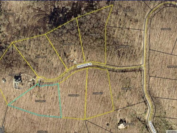 0 Highpointe Trail, Unit 194, Ellijay, GA 30536
