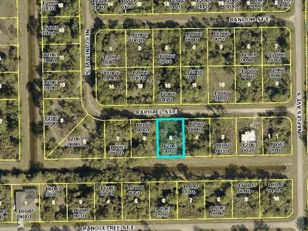 1238 RAPHAEL ST E, LEHIGH ACRES, FL 33974