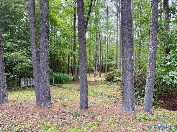TBD Chester Drive, Disputanta, VA 23842