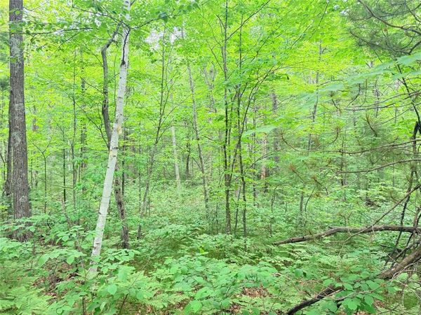 0 Schultz Lane, Stone Lake, WI 54876
