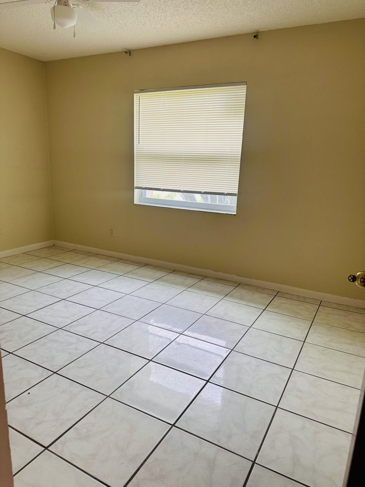 6245 Saxon Boulevard, West Palm Beach, FL 33417 Photo