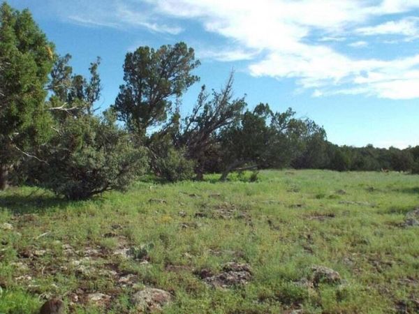 71 ACR 8001, Unit 632, Concho, AZ 85924