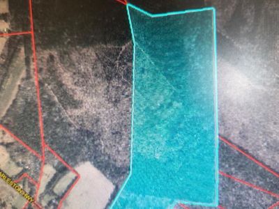 0 Capital Road, Jacksonboro, SC 29452