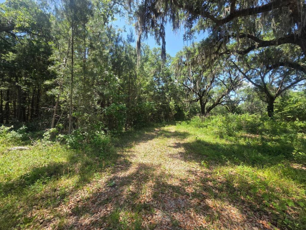 0 Capital Road Photo 4