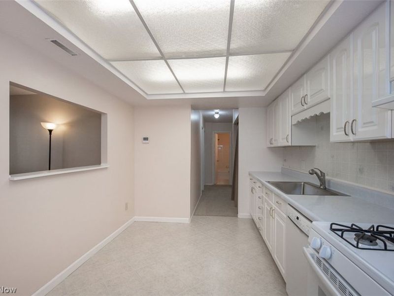 26702 Lake Of The Falls Boulevard, Olmsted Falls, OH 44138 Photo 10